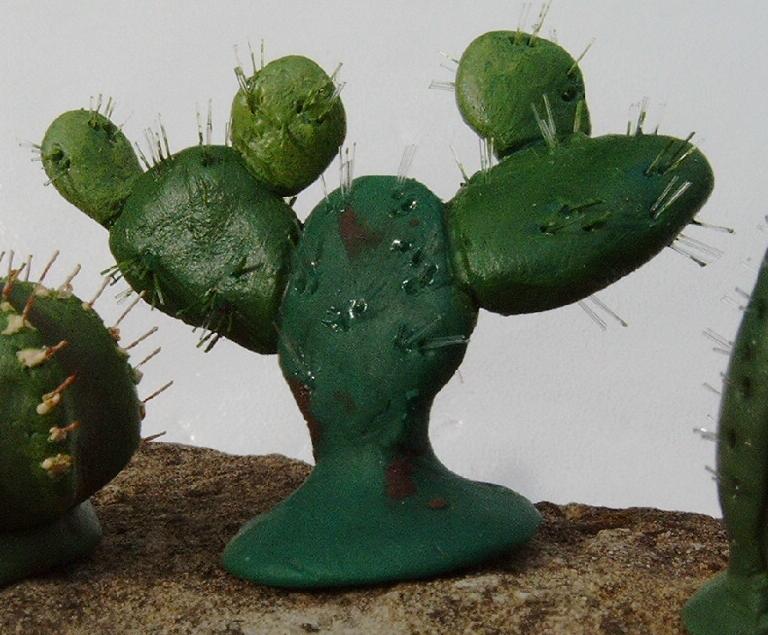 big cactus after painting